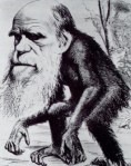 darwin_ape