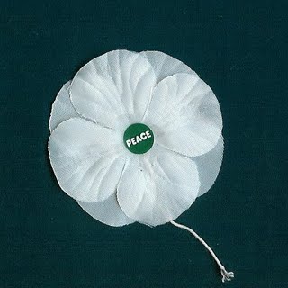 whitepoppy2 whitepoppy2