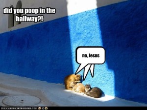 poopinthehallway