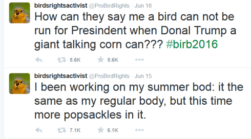 birdsrightsactivism