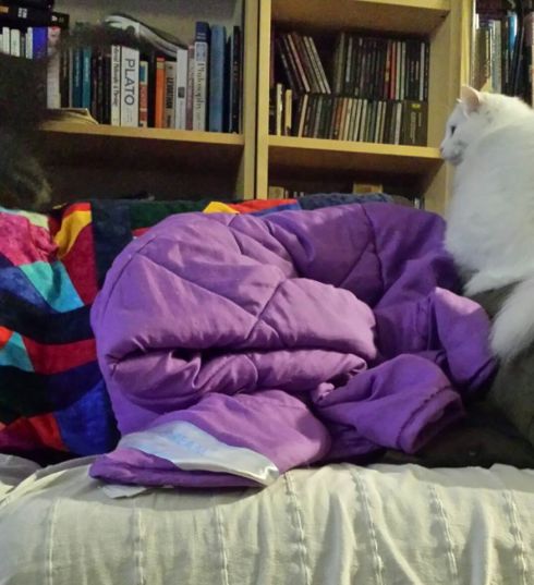 Which displeases V immensely - which makes Fiona smug.